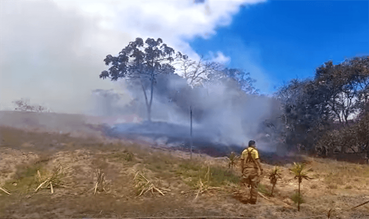 Bomberos hallan restos de 20 perros en bolsas mientras atendían incendio en Desamparados