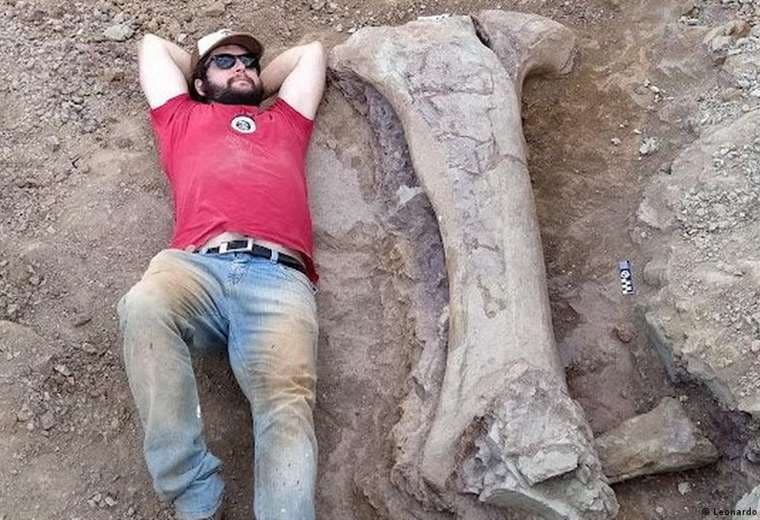 ¿Cómo llegó a Sudamérica? Descubren enorme dinosaurio en Brasil con pariente europeo