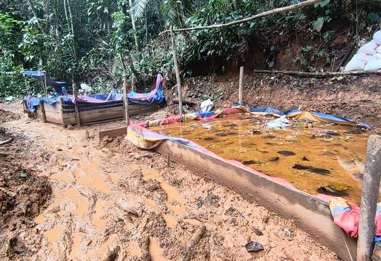 119 lagunas tóxicas envenenan Conchuditas con cianuro y mercurio por el oro ilegal