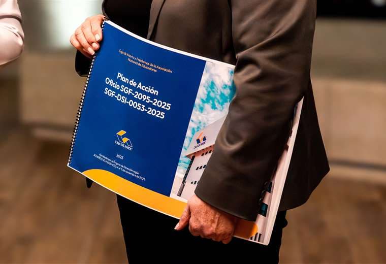 Luz verde al Plan de Fortalecimiento Institucional de Caja de ANDE