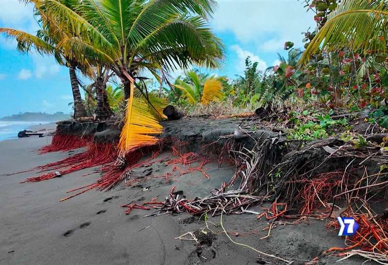 Las costas se borran