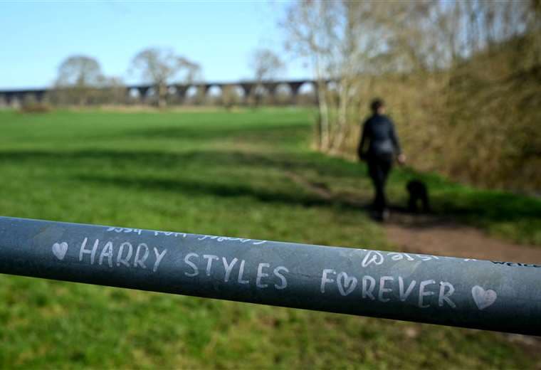 Fans de Harry Styles se agolpan en pueblo donde creció su ídolo