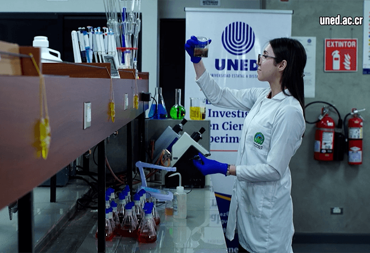 Residuos de piña encuentran nueva vida gracias a la biotecnología