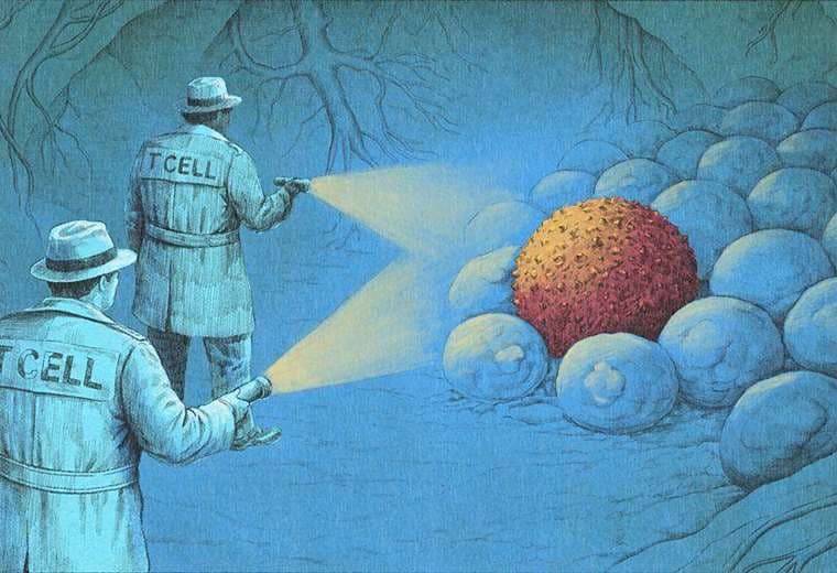 "Es increíble, como ciencia ficción": inmunoterapia ya elimina cáncer en algunos pacientes