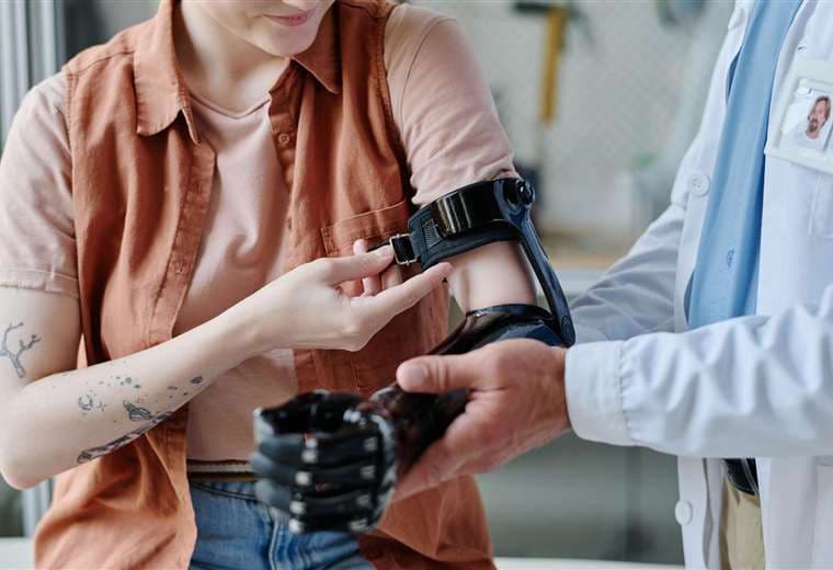 Por qué los mamíferos no podemos regenerar partes del cuerpo enteras como otros animales