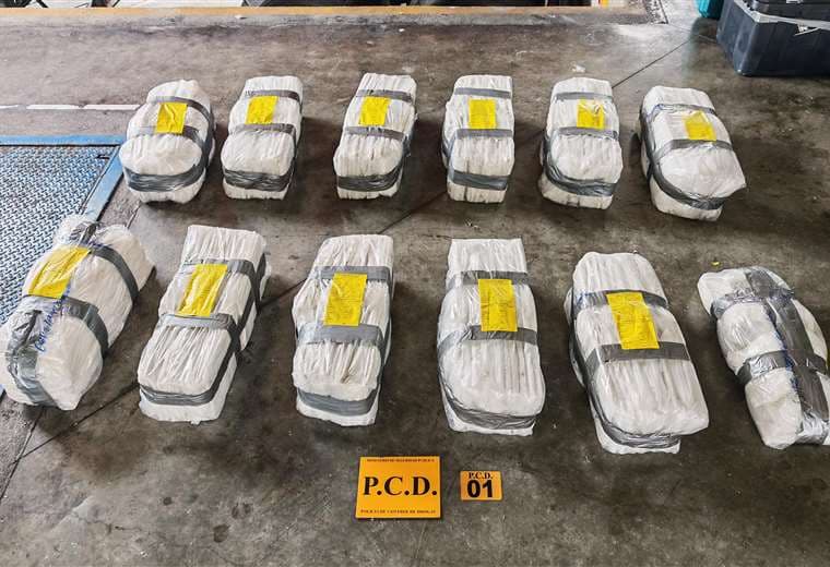 Descubren cientos de kilos de droga ocultos entre verduras con destino a Países Bajos