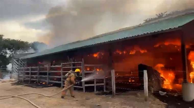 Incendio consume finca lechera en Nicoya