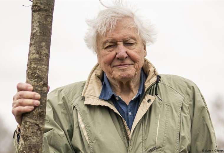 David Attenborough, el gran divulgador de la naturaleza, cumple 100 años