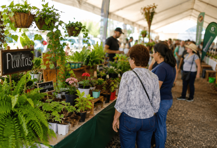 Emprendedores y agricultores tendrán gran vitrina este fin de semana en Occidente