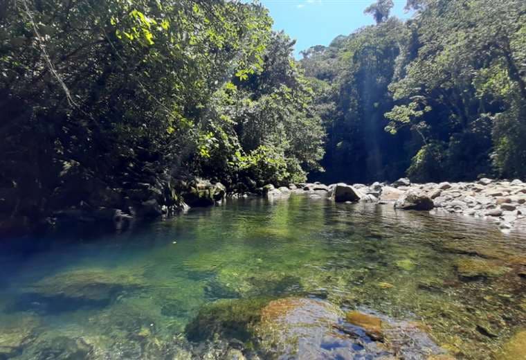 A casi 30 años de su creación, parques nacionales se convirtieron en "fábricas de agua"