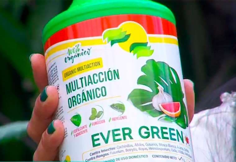 Sembrar en familia: una actividad que fortalece vínculos y acerca a niños a la naturaleza