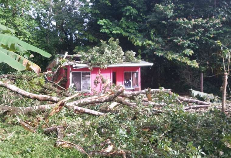Inundaciones, árboles caídos y rutas cerradas mantienen en alerta al país
