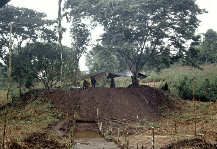 Inmensa ciudad descubierta en Amazonas cambia lo que se sabía de las primeras culturas en América Latina