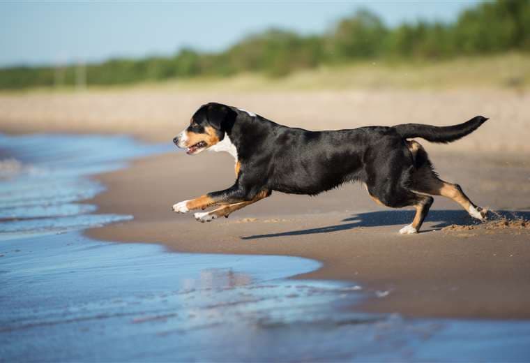 Foto Adobe Stock