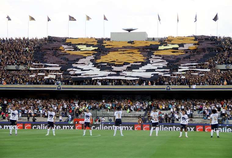 Pumas. AFP