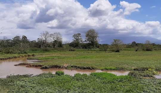 Cuerpo envuelto en plástico aparece en canal de riego en Matina