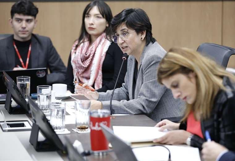 "Es un engaño", dice exdiputada sobre nombramiento temporal que Gobierno hizo en CCSS