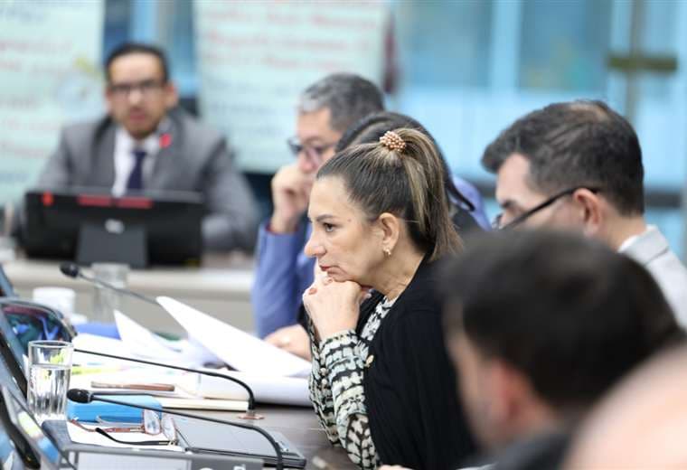 Diputada oficialista se equivocó y vota en contra de recorte de ₡8 mil millones al FEES