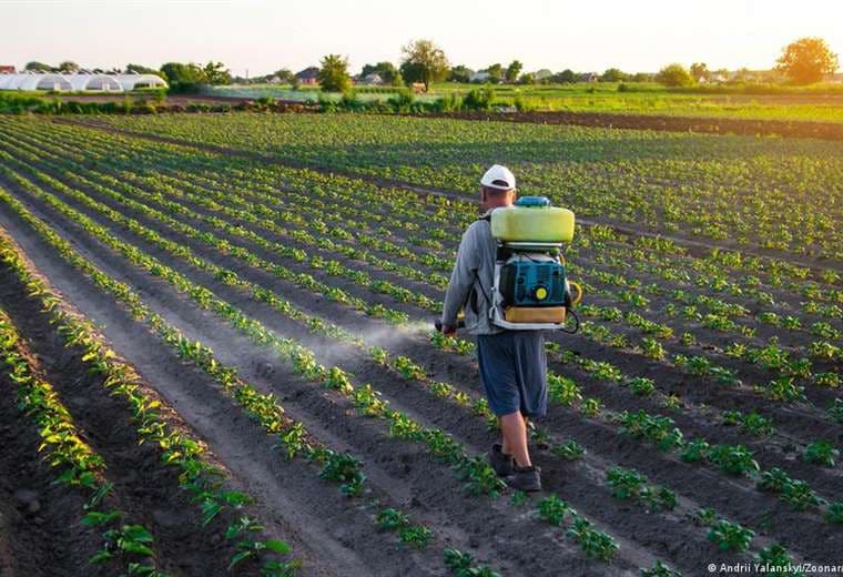 UE pide flexibilizar pesticidas pese a advertencias de científicos por riesgos a la salud