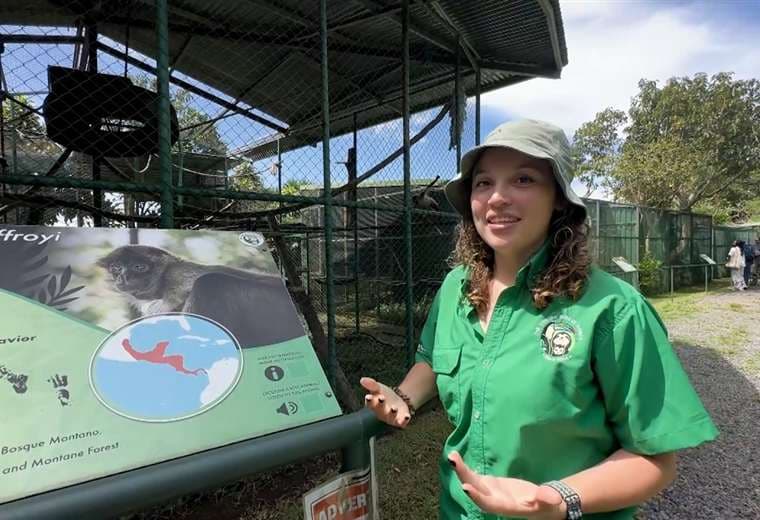 Un paseo en Heredia para conocer y ayudar a los animales silvestres