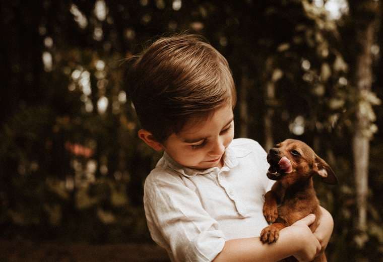 Animales con niños: ¿qué razas de perros son mejores para convivir en familia?