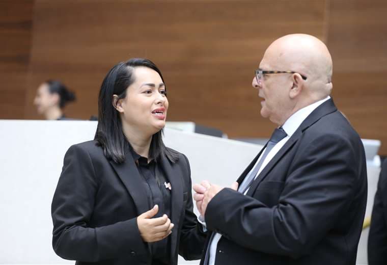 Con dos votos del oficialismo, rechazan insulto de diputada del PPSO a Dobles y Gordienko