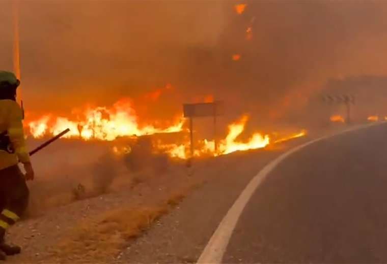 Incendio forestal en el sur de España deja 12 muertos