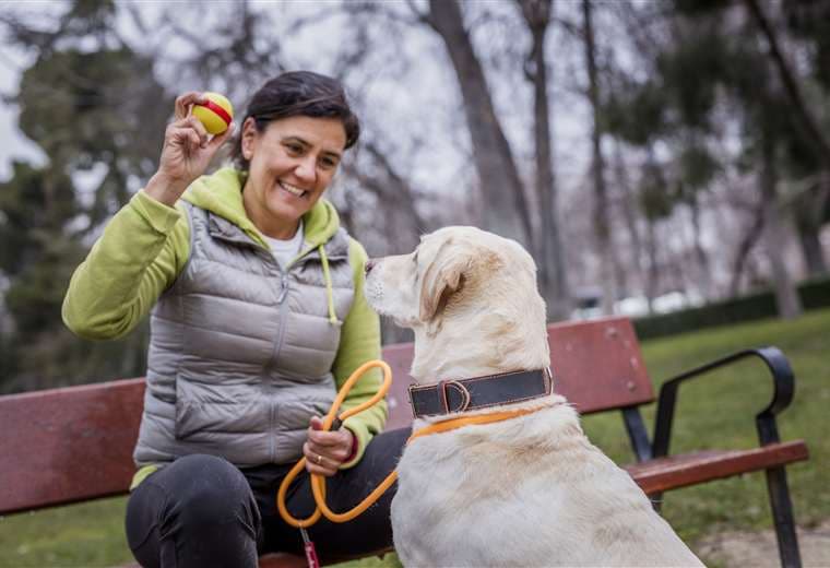 ¿Ansiedad o estrés? Su mascota puede ayudarle más de lo que imagina