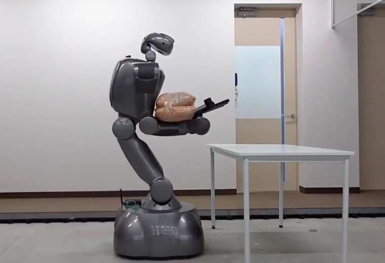 Japón apuesta por robots para enfrentar la falta de trabajadores