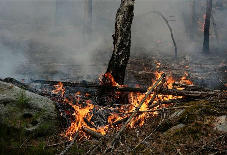 Incendio "excepcional" arrasa el bosque de Fontainebleau, cerca de París