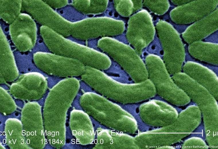 Bacteria "come carne" ya ha causado siete muertos en EE. UU.