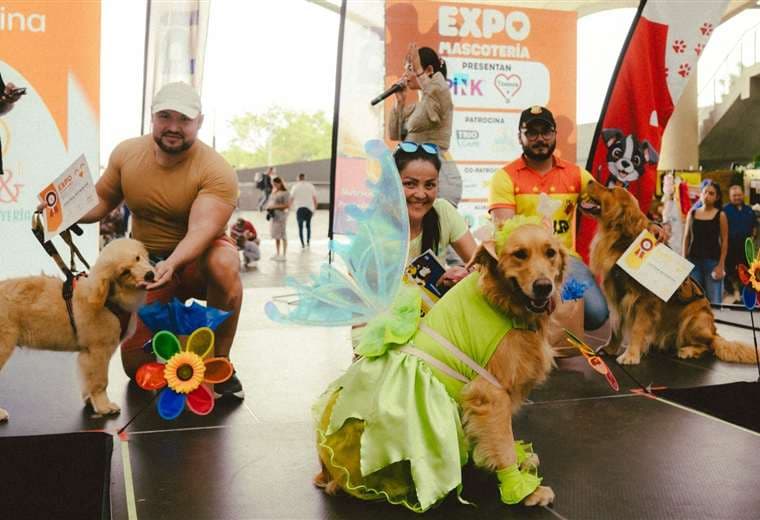Expo Mascotería tendrá jornada de adopción y 'show' con perros de terapia