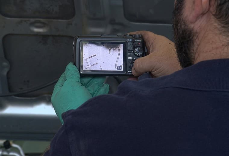 ¿Le pueden vender un carro alterado? Revisión técnica emite casi dos alertas por día