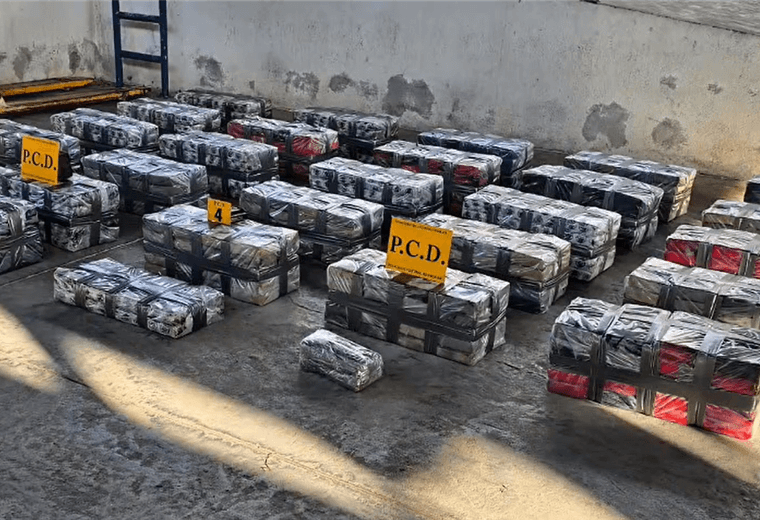 PCD decomisa 550 kilos de cocaína ocultos en cargamento con destino a Guatemala