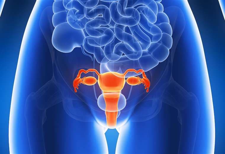 Costa Rica se propone reducir casi a la mitad la incidencia de cáncer de cérvix a 2030