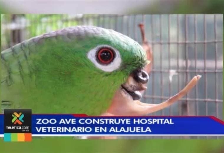 Hospital veterinario en Alajuela