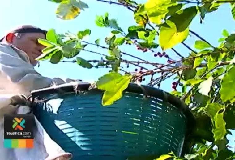 campaña para ayudar a agricultores afectados por Nate