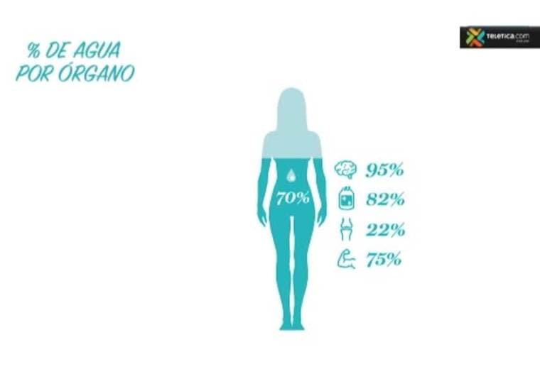 Beneficios de tomar agua