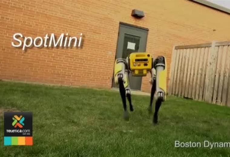 Crean ágil robot con la figura de una mascota robótica