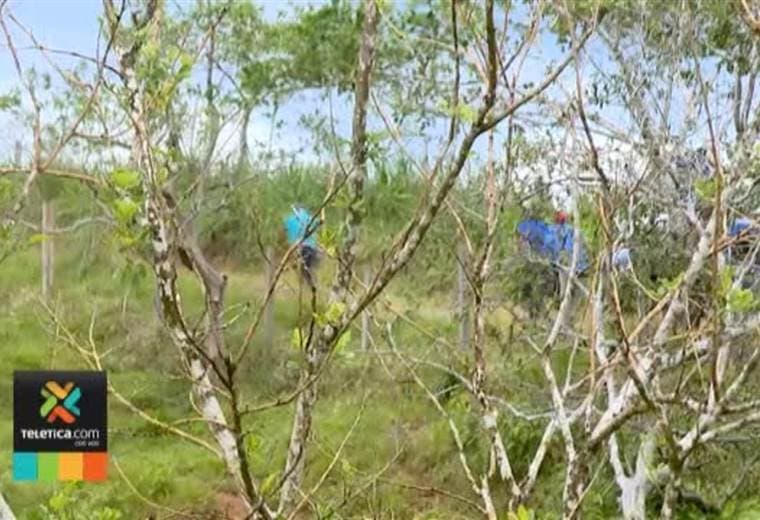 Migración detectó en menos de un mes a cerca de 1.000 nicaragüenses en la mina Crucitas