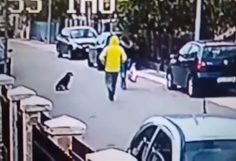 El pequeño animal se convirtió en el héroe de esta mujer