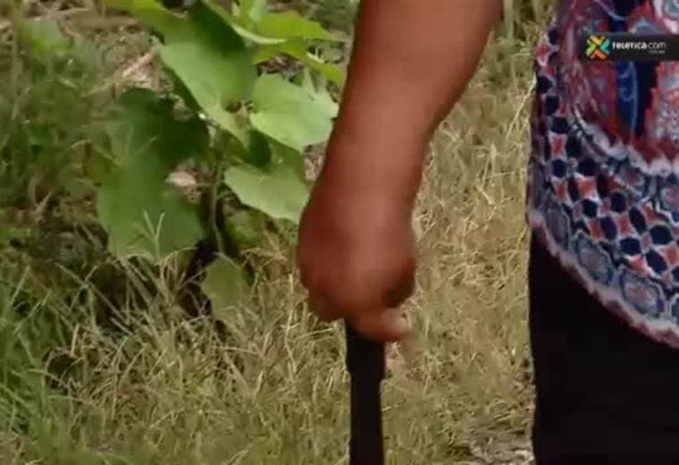 Vecina de Orosi nos comparte su secreto para que un tamal sea inolvidable