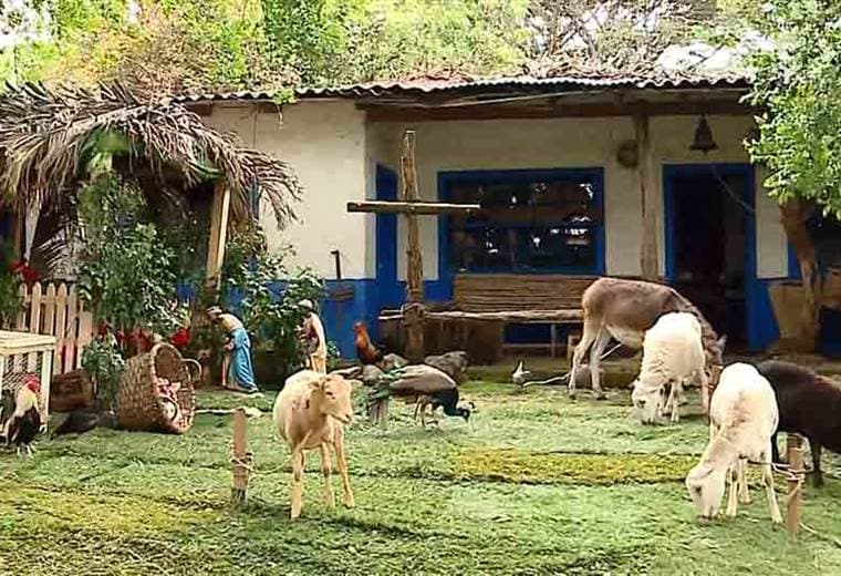 Familia de San Joaquín de Flores utiliza su granja para complementar su portal