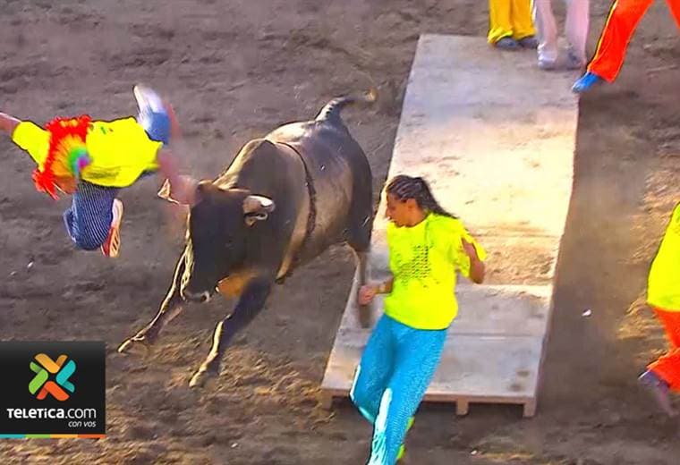 Cuatro de las mejores ganaderías del país estarán en los toros a la tica de Zapote
