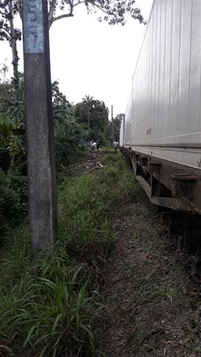 Hombre muere atropellado por el tren en Siquirres