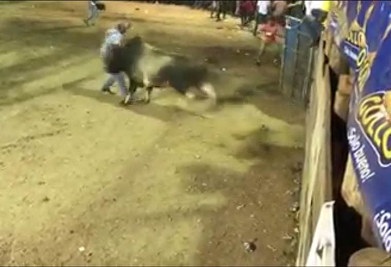Torero improvisado es corneado en Santa Cruz