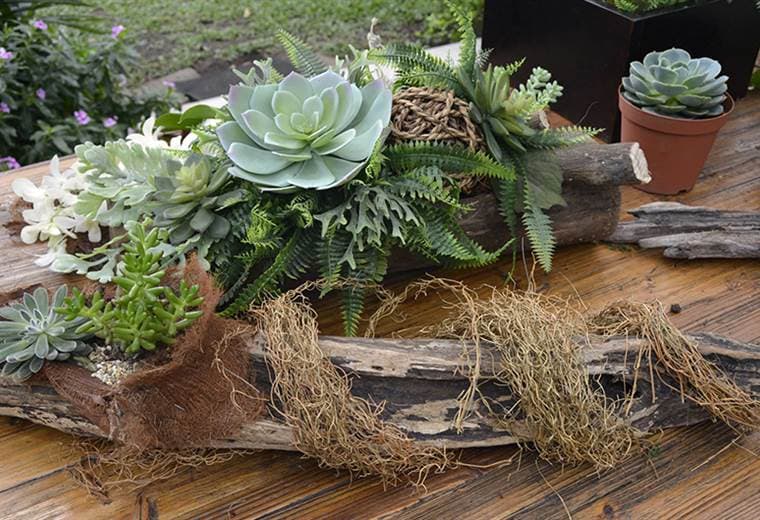 Le enseñamos cómo realizar arreglos florales utilizando troncos