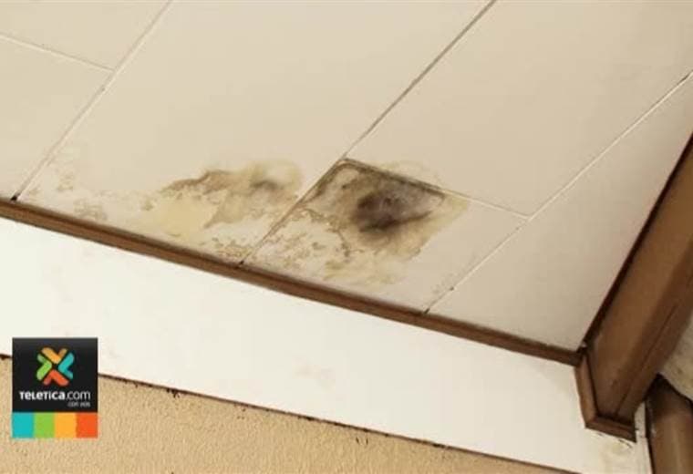 Biblioteca Pública de Grecia está en tan malas condiciones que es casi imposible visitarla