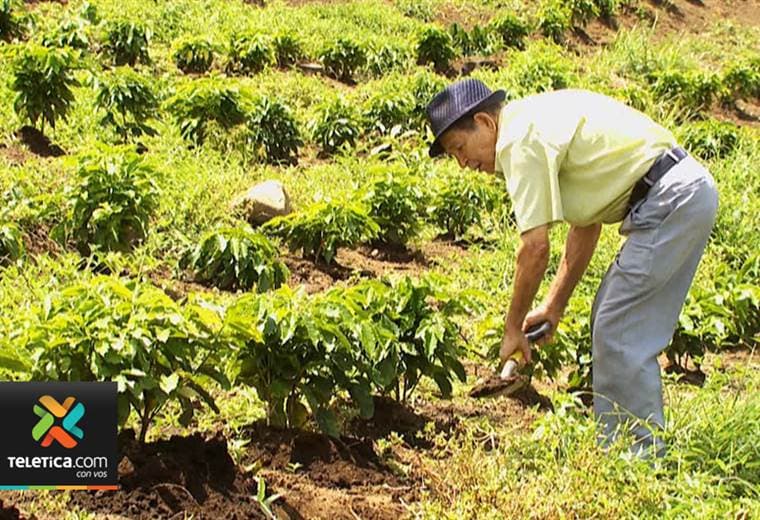 IICA implementará acciones para una visión más moderna en agricultura
