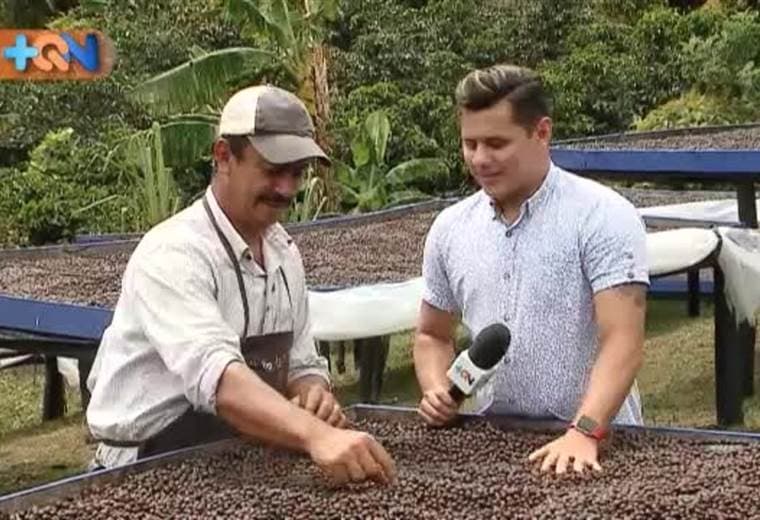 Edgar Ureña y su hermano Martín llevan toda la vida entre cafetales. Ellos son dos de los muchos buenos productores en León Cortés.